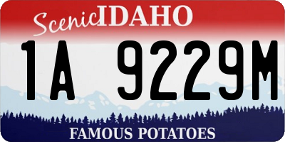 ID license plate 1A9229M