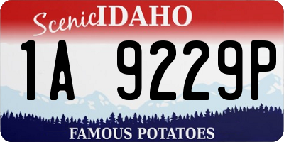 ID license plate 1A9229P