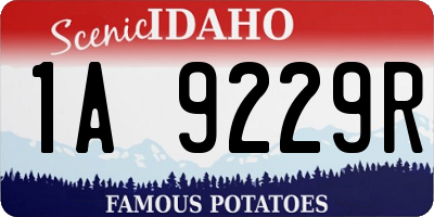 ID license plate 1A9229R