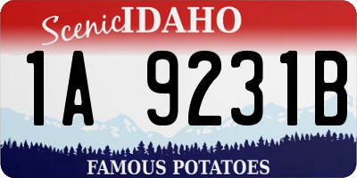 ID license plate 1A9231B