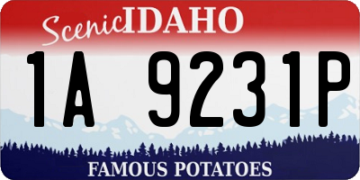 ID license plate 1A9231P