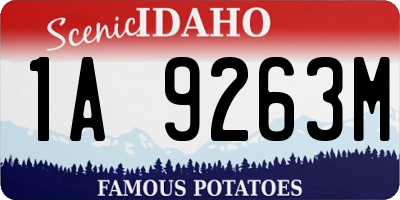 ID license plate 1A9263M