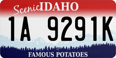 ID license plate 1A9291K