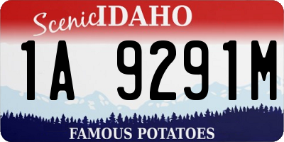 ID license plate 1A9291M