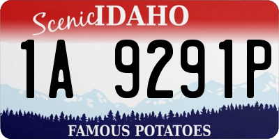ID license plate 1A9291P