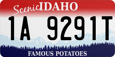 ID license plate 1A9291T