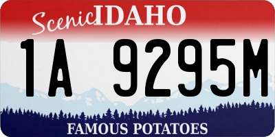 ID license plate 1A9295M