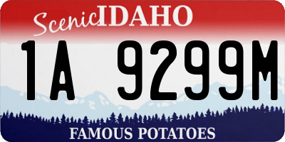 ID license plate 1A9299M
