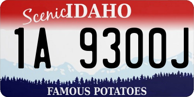 ID license plate 1A9300J