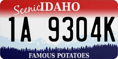 ID license plate 1A9304K