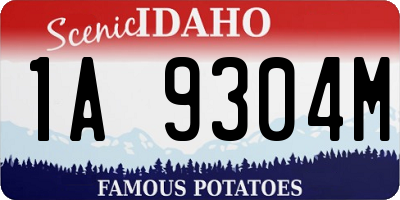 ID license plate 1A9304M
