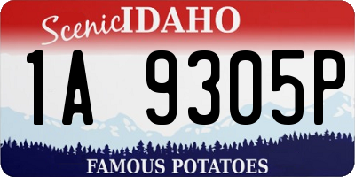 ID license plate 1A9305P