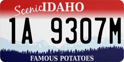ID license plate 1A9307M