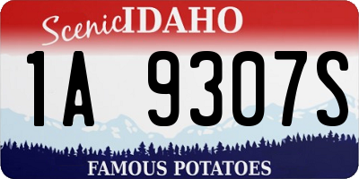 ID license plate 1A9307S