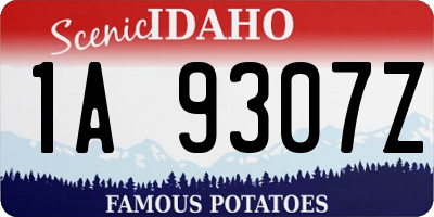 ID license plate 1A9307Z