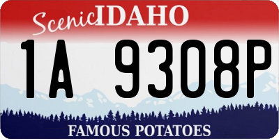 ID license plate 1A9308P