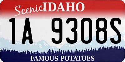 ID license plate 1A9308S
