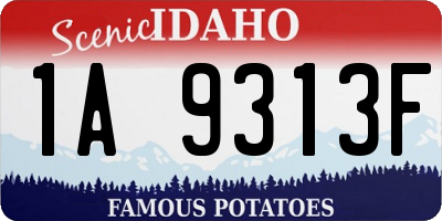 ID license plate 1A9313F
