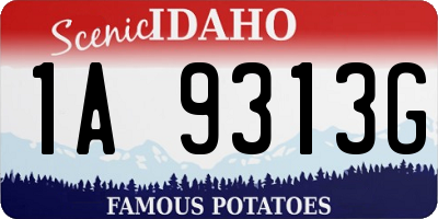 ID license plate 1A9313G