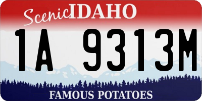 ID license plate 1A9313M