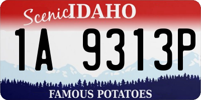 ID license plate 1A9313P