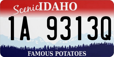 ID license plate 1A9313Q