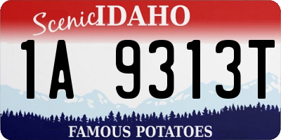 ID license plate 1A9313T