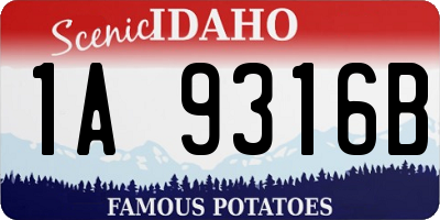 ID license plate 1A9316B
