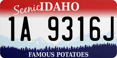 ID license plate 1A9316J