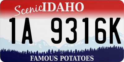 ID license plate 1A9316K