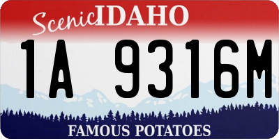 ID license plate 1A9316M