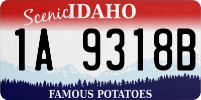 ID license plate 1A9318B