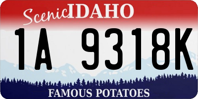 ID license plate 1A9318K