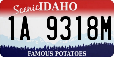 ID license plate 1A9318M