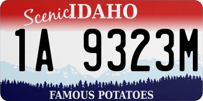 ID license plate 1A9323M