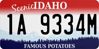 ID license plate 1A9334M