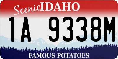 ID license plate 1A9338M