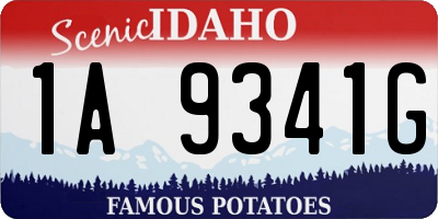 ID license plate 1A9341G