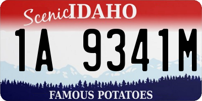 ID license plate 1A9341M