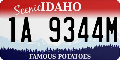 ID license plate 1A9344M