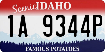 ID license plate 1A9344P