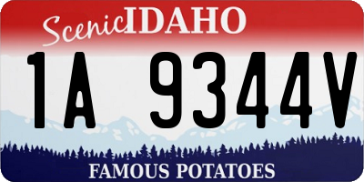 ID license plate 1A9344V