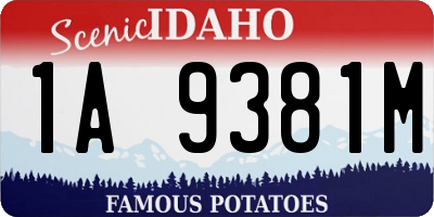 ID license plate 1A9381M
