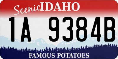 ID license plate 1A9384B