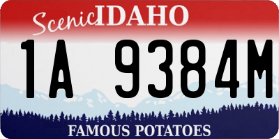 ID license plate 1A9384M