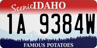 ID license plate 1A9384W