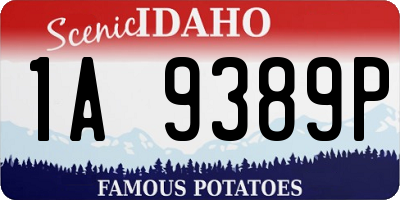 ID license plate 1A9389P
