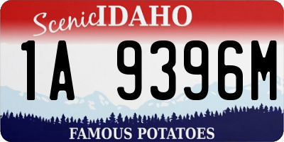 ID license plate 1A9396M