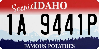 ID license plate 1A9441P