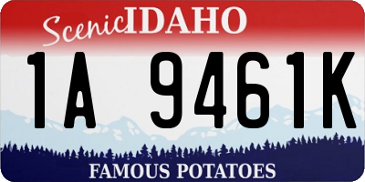 ID license plate 1A9461K